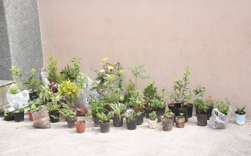 environment day-06