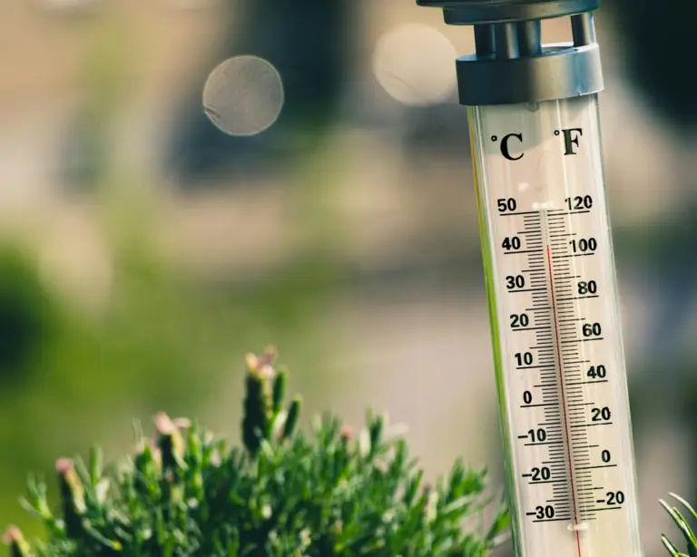 What Is Temperature in Science? Understanding Its Role
