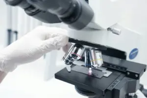 What Is Biotechnology? The Field Explained in Simple Terms